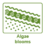 Logo: Algae blooms