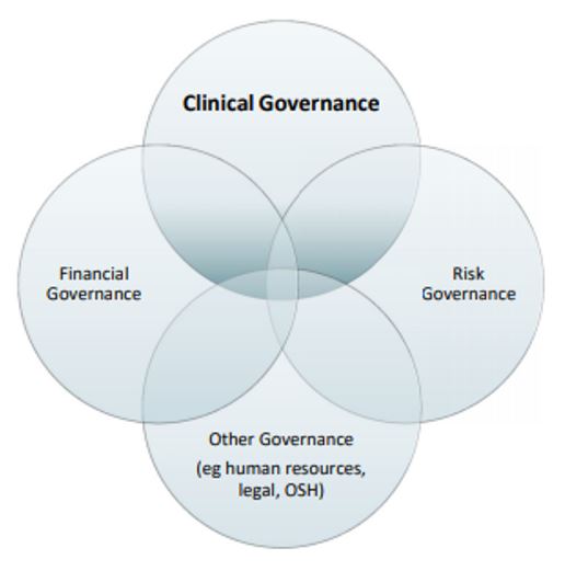 Clinical governance venn diagram