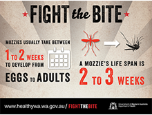 Facebook infographic: fight the bite 5