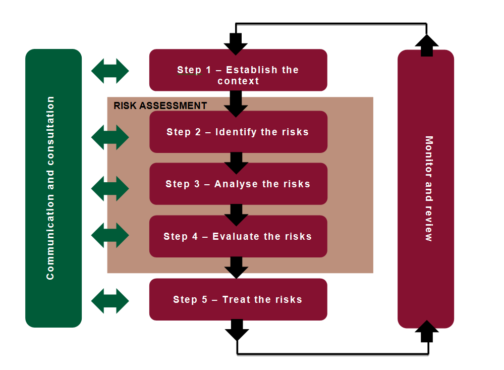 diagram outlining the clinical risk management process