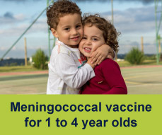 Meningococcal vaccine for 1 to 4 year olds