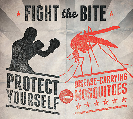 Fight the Bite: Protect yourself against disease-carrying mosquitoes